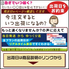 画像10: 防水 お名前シール｜選べる100種類＆23色 シールバイキング2枚セット｜名入れ 入園 入学 介護 ショップ用【Yokohama小町堂】 (10)