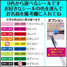 画像2: 気軽に使える エコノミーラベル｜選べる9色の文字色 名入れ対応 20×8mm ｜たっぷり使えるお名前・備品ラベル【Yokohama小町堂】 (2)