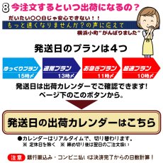 画像11: はがれない布用お名前シール｜選べる80種類＆23色 魔法のシール ラベルバイキング3枚セット｜まとめ買い割引 名入れ アイロンタイプ 入園 入学 準備【Yokohama小町堂】 (11)