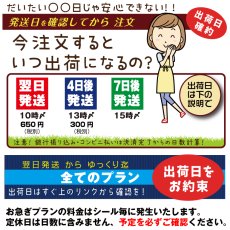 画像13: はがれない布用魔法のシール｜アイロン お名前シール 布用 名入れOK 23色｜幼稚園 保育園 小学校 巾着 布団【横浜小町堂】 (13)