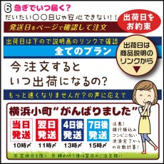 画像10: 防水お名前シール｜ママが選んだ人気サイズセット｜23色から選べる名入れシール｜色でわかる安心デザイン【Yokohama小町堂】 (10)