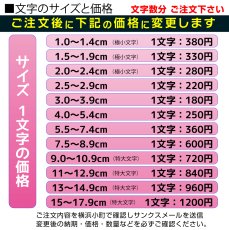 画像13: アイロン文字カット レイアウトタイプ｜指定サイズ内にレイアウト調整してお届け｜ゼッケン・体操服・ユニフォーム対応【Yokohama小町堂】 (13)