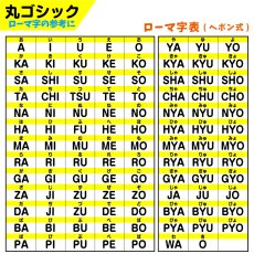 画像9: 超特急おまかせプラン｜最短当日発送対応 ゼッケン 名入れオーダー A5サイズまで｜水着専用／アイロン／縫い付け対応【Yokohama小町堂】 (9)
