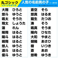 画像11: 超特急おまかせプラン｜最短当日発送対応 ゼッケン 名入れオーダー A5サイズまで｜水着専用／アイロン／縫い付け対応【Yokohama小町堂】 (11)