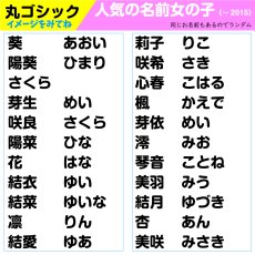 画像12: 超特急おまかせプラン｜最短当日発送対応 ゼッケン 名入れオーダー A5サイズまで｜水着専用／アイロン／縫い付け対応【Yokohama小町堂】 (12)