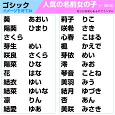 画像17: 超特急おまかせプラン｜最短当日発送対応 ゼッケン 名入れオーダー A5サイズまで｜水着専用／アイロン／縫い付け対応【Yokohama小町堂】 (17)