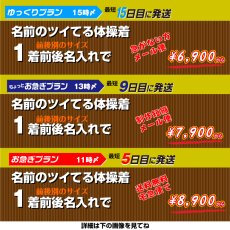 画像18: 名前のついてる体操着｜半袖体操服・前後2枚の縫い付けゼッケン付き 名入れオーダー｜襟あり・襟なし／110?140サイズ【Yokohama小町堂】 (18)