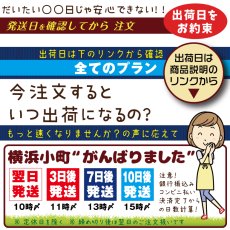 画像5: 縫い付けゼッケン ワイドサイズ 45cm幅対応｜名入れオーダー 1枚｜シーツやカバーにも【Yokohama小町堂】 (5)